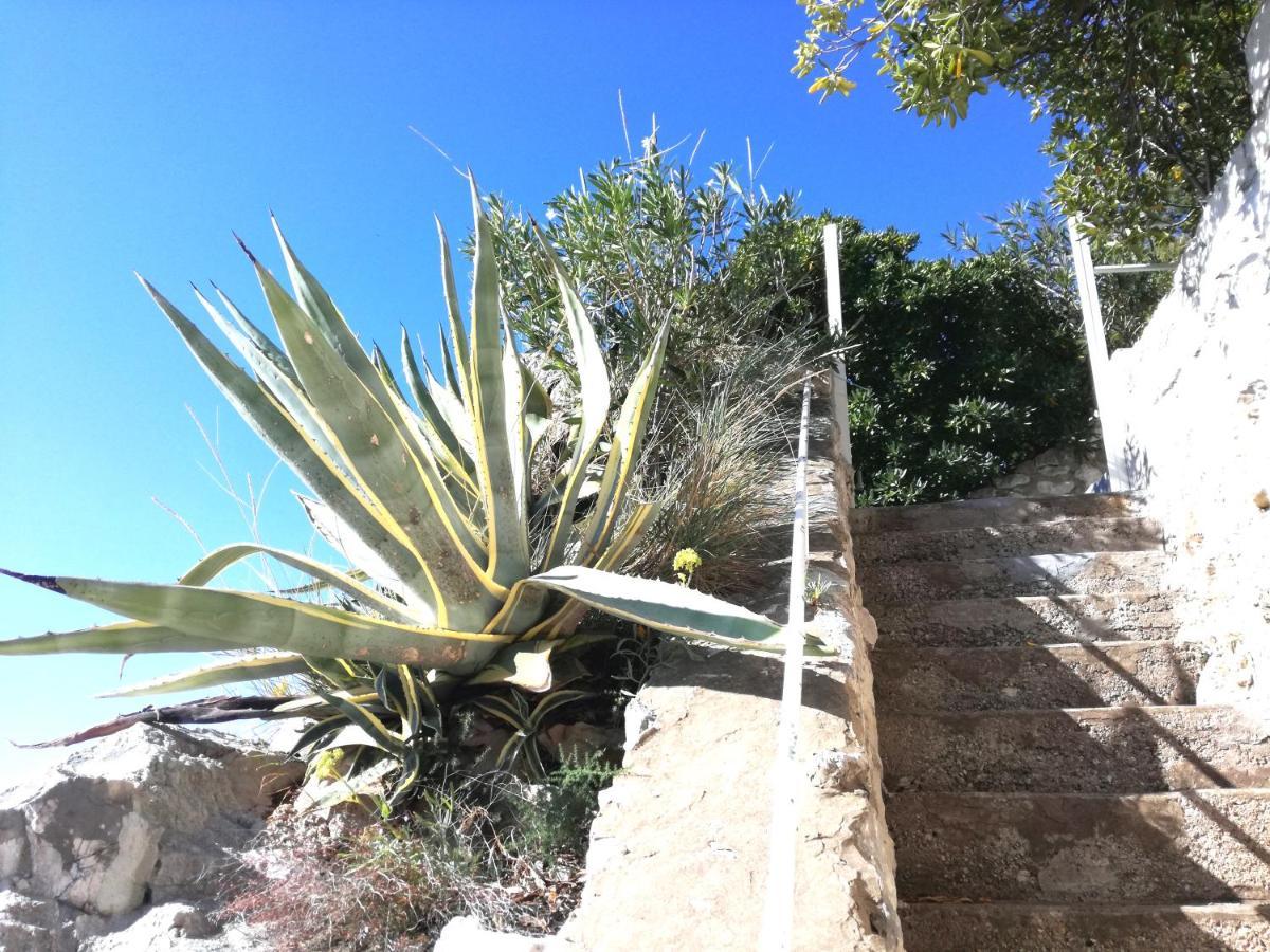 Beach House On The Cliff زاتون المظهر الخارجي الصورة