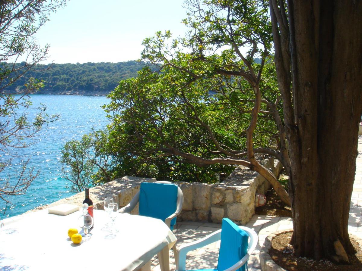 Beach House On The Cliff زاتون المظهر الخارجي الصورة